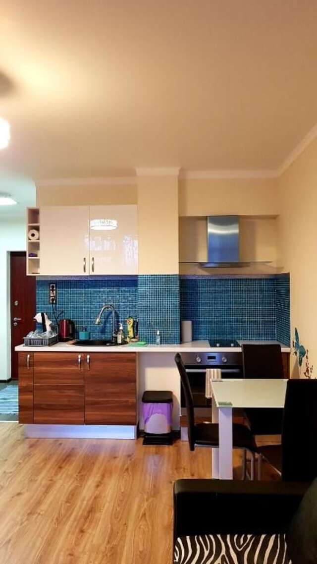 Апартаменты Salnas Zebrus Apartment Рига-50