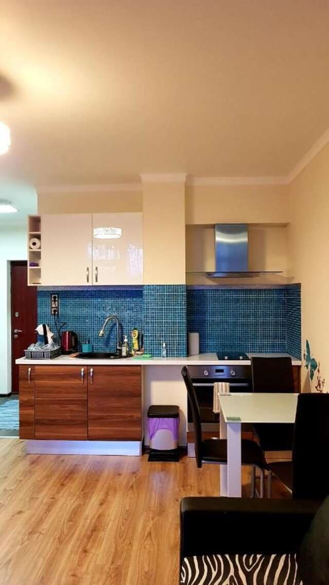 Апартаменты Salnas Zebrus Apartment Рига-10